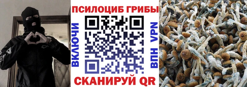 MEGA рабочий сайт  Нерчинск  Галлюциногенные грибы Cubensis 